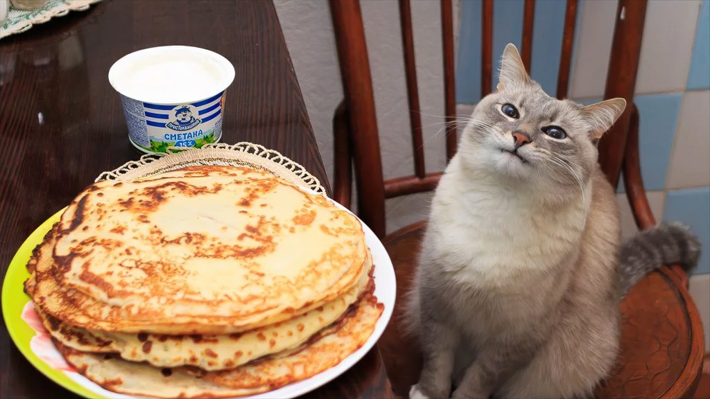 A cat eyeing a stack of pancakes