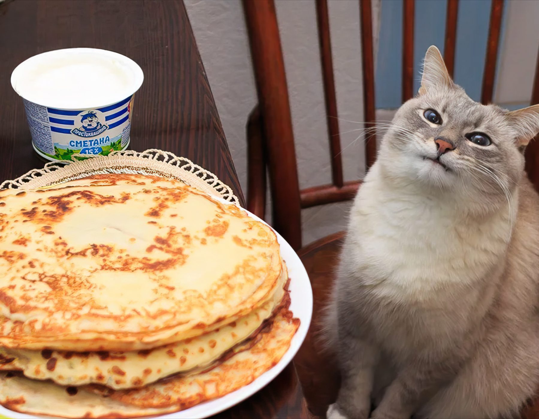 A cat eyeing a stack of pancakes